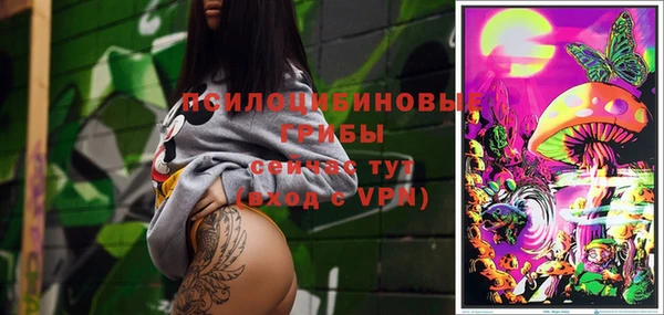 тгк Лабытнанги
