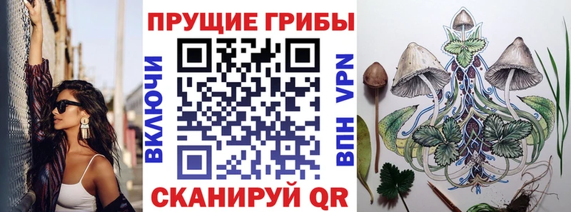 Галлюциногенные грибы мицелий  hydra ТОР  Медвежьегорск 