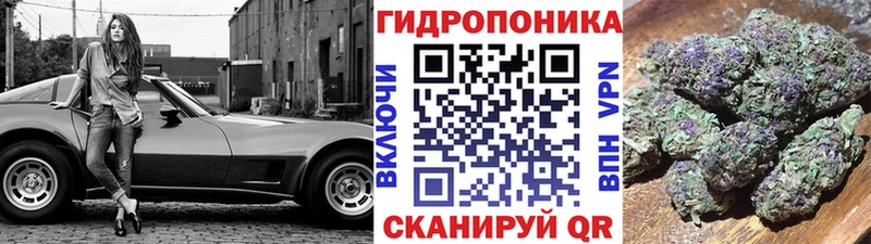 Канабис White Widow  наркошоп  Медвежьегорск 